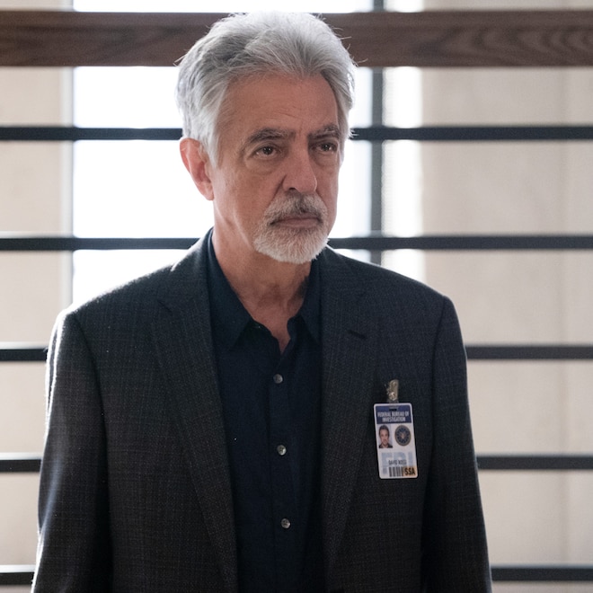 Criminal Minds' Joe Mantegna Teases the Future of New Revival Criminal Minds' Joe Mantegna Teases the Future of New Revival